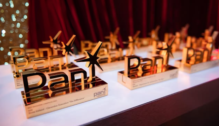 PANI Awards 2025