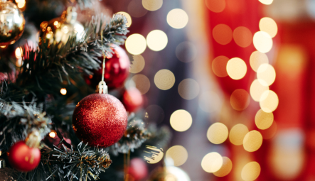 ‘Tis the Season to Be Seen